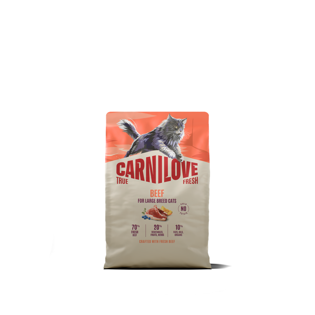 CARNILOVE TRUE FRESH Cat Dry Beef for Adult Large Breeds 2kg