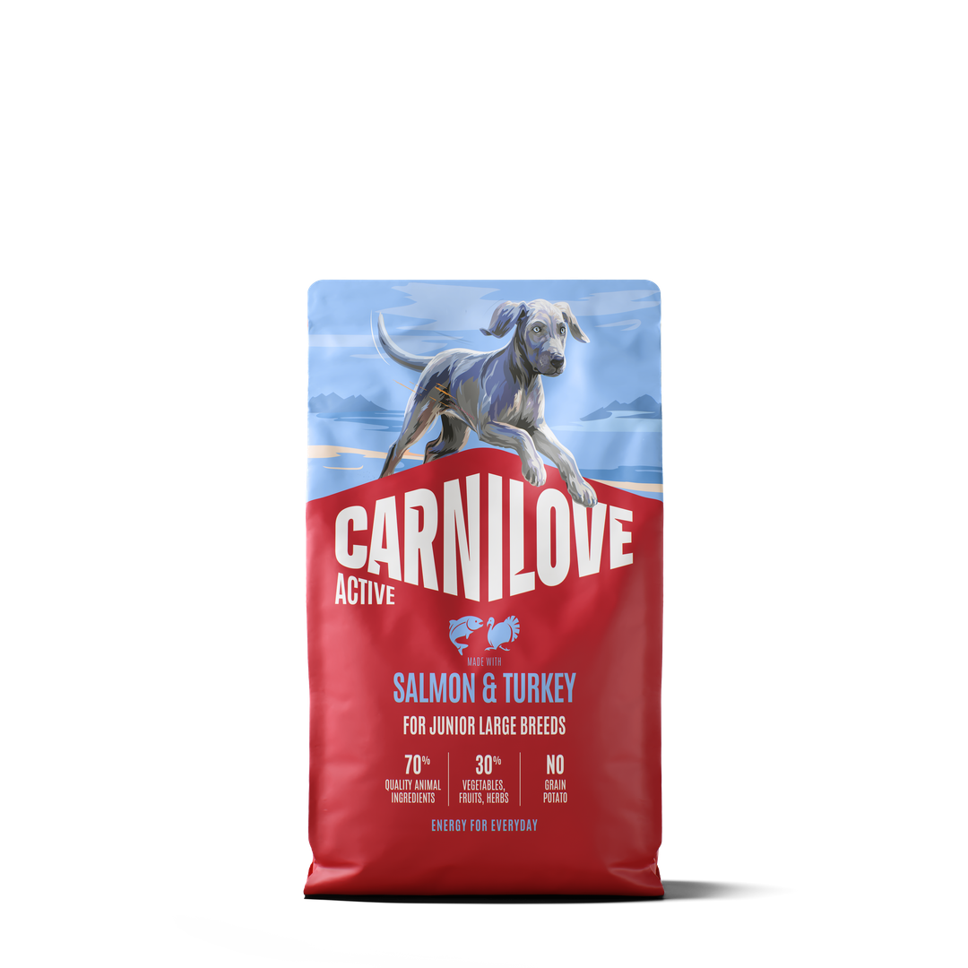 CARNILOVE ACTIVE Dog Dry Made with Salmon & Turkey for Junior Large Breeds 4kg