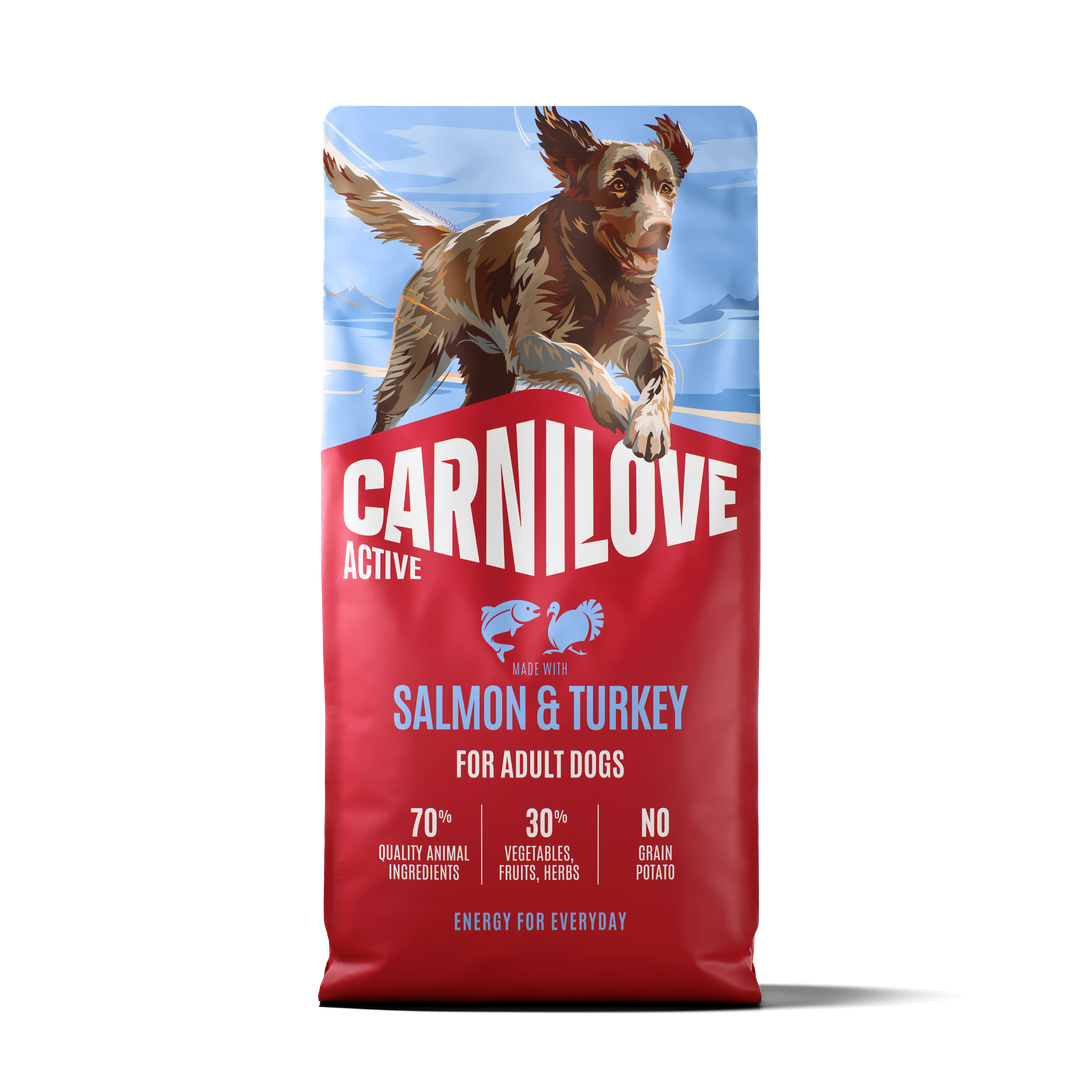 CARNILOVE ACTIVE Dog Dry Made with Salmon & Turkey for Adult All Breeds 12kg