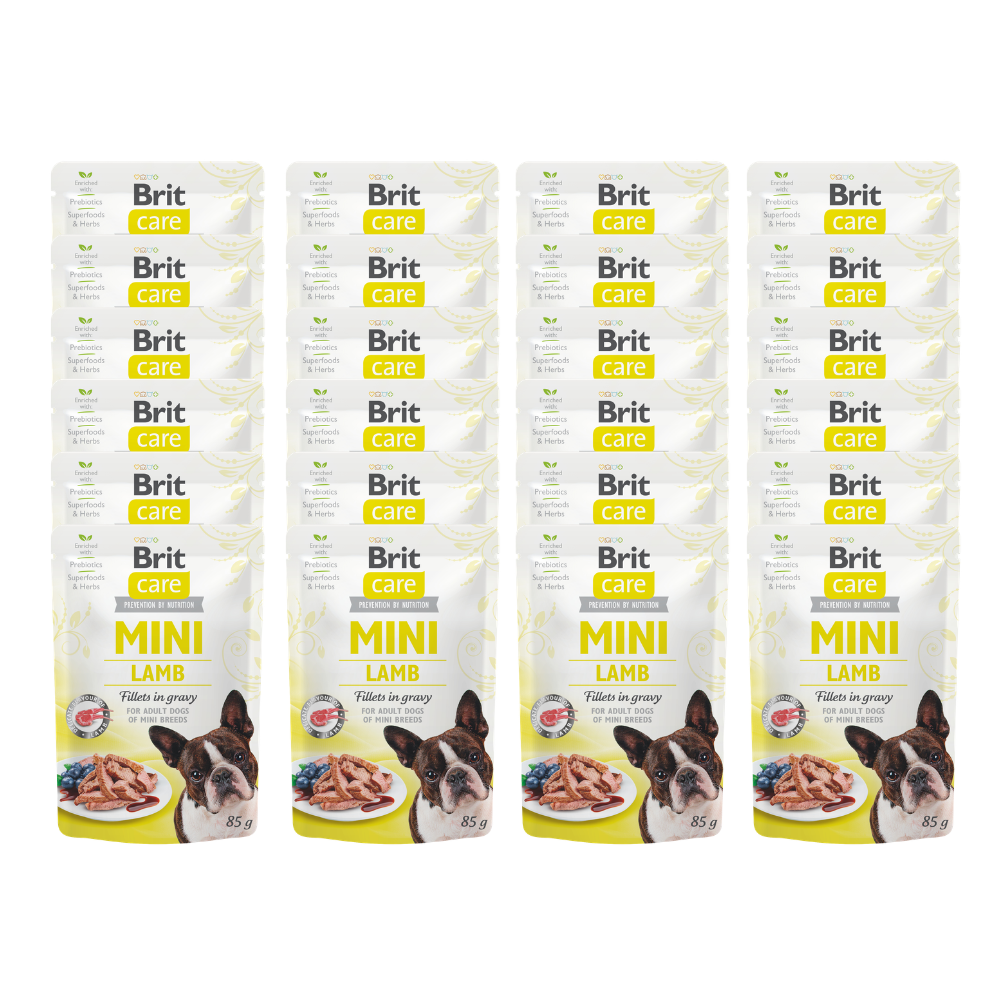 Promocja 20 szt + 4 szt Brit Care Mini Pouch Dog Adult Lamb 85g