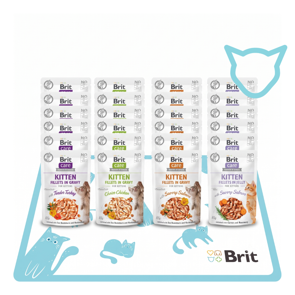 Pakiet Wakacyjny Kitten Fillets: Brit Fillets in Jelly 6x85g + Brit Fillets in Gravy 18x85g + mata Spokojna Głowa na Wakacje