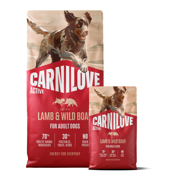Promocja: 12kg + 4kg CARNILOVE ACTIVE Dog Lamb&Wild Boar Adult w atrakcyjnej cenie
