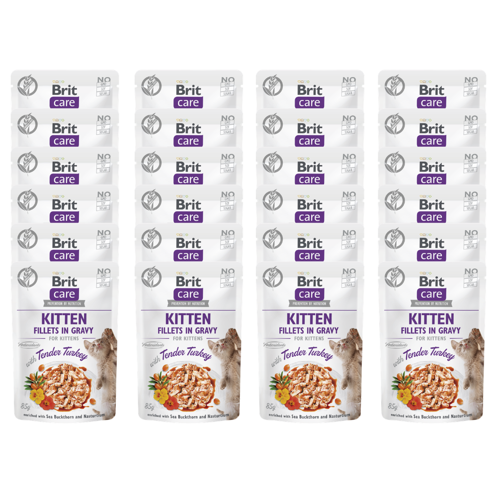 Promocja 20 szt + 4 szt Brit Care Cat Kitten Fillets in Gravy with Tender Turkey enriched with Sea Buckthorn & Nasturtium 85g