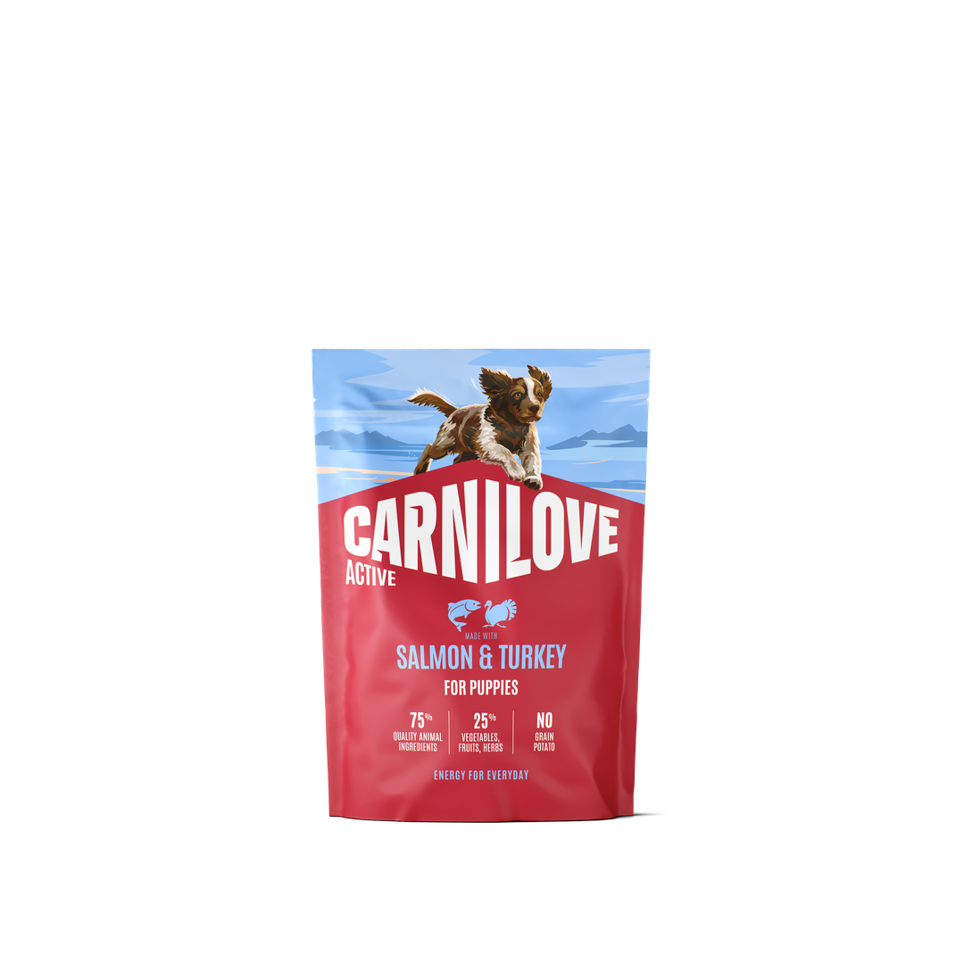 CARNILOVE ACTIVE Dog Dry Made with Salmon & Turkey for Puppies 1,5kg