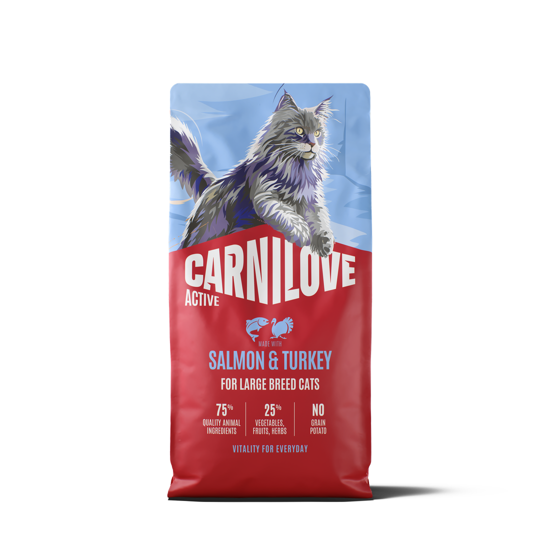CARNILOVE ACTIVE Cat Dry Made with Salmon & Turkey for Adult Large Breeds 6kg