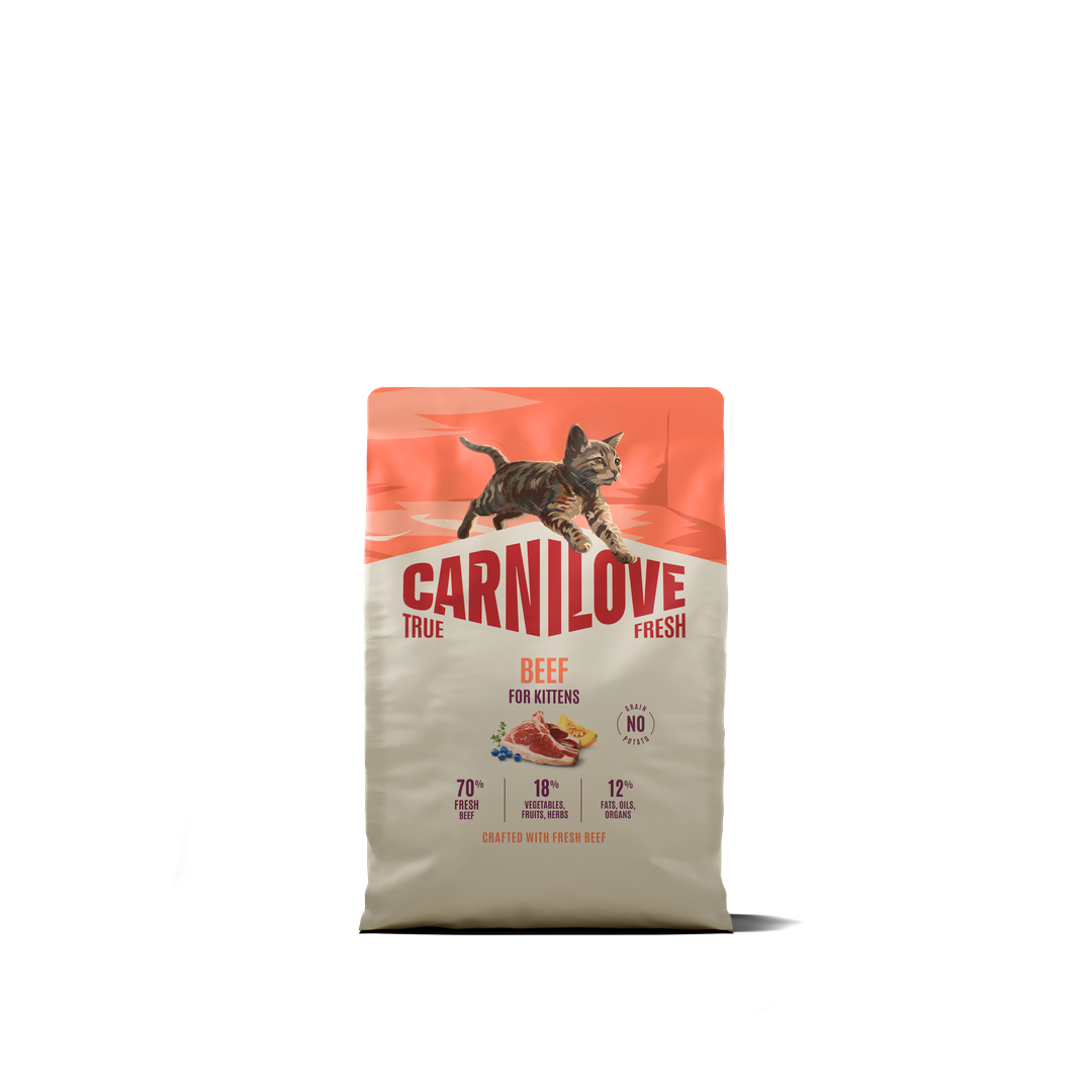 CARNILOVE TRUE FRESH Cat Dry Beef for Kittens 2kg