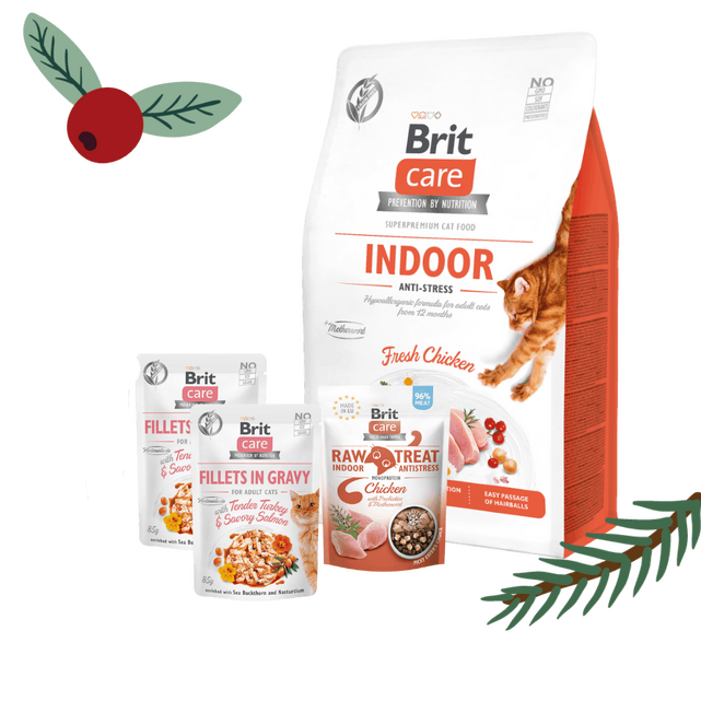 Gwiazdkowy zestaw Brit Care dla kotów niewychodzących Pakiet pełnoporcjowej suchej karmy, mokrej karmy w saszetkach oraz przysmaku na Świąteczne dni