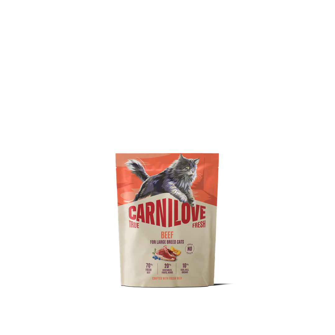 CARNILOVE TRUE FRESH Cat Dry Beef for Adult Large Breeds 400kg