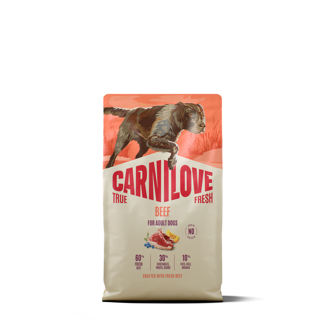 CARNILOVE TRUE FRESH Dog Dry Beef for Adult All Breeds 4kg