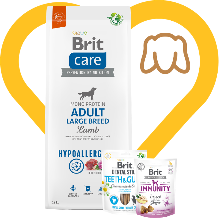 Pakiet Zdrowie i Odporność: Brit Care Dog Hypoallergenic Adult Large Breed Jagnięcina 12kg + 2 przysmaki w cenie Zestaw z Okazji Dnia Psiecka