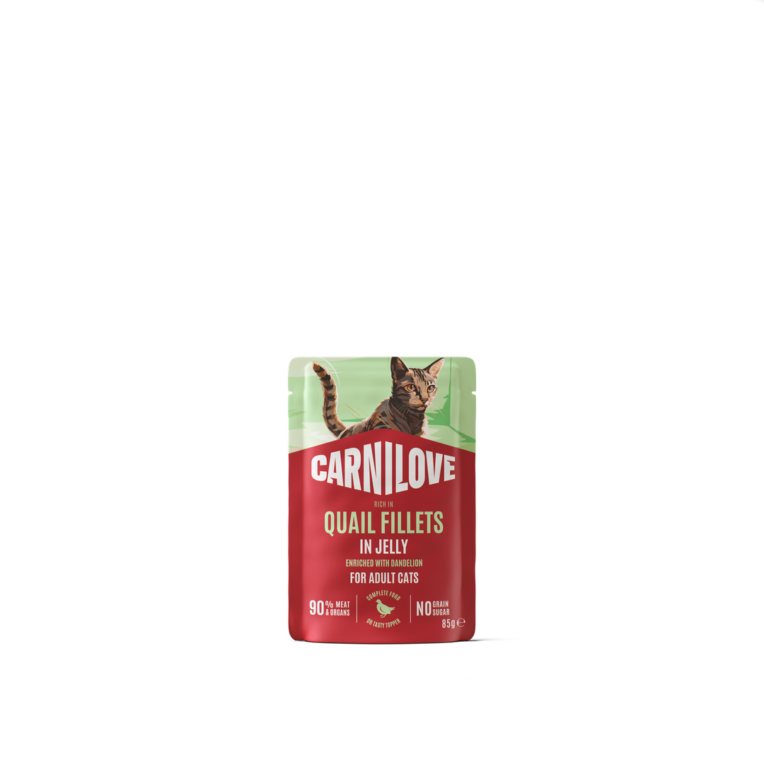 CARNILOVE Cat POUCH JELLY rich in Quail enriched with Dandelion 85g
