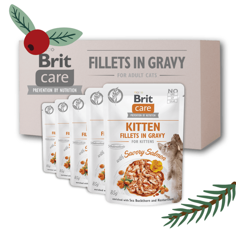 Gwiazdkowy zestaw "18+6" Brit Care Cat Fillets in Gravy, Kitten, łosoś Pakiet pełnoporcjowej mokrej karmy dla kociąt w super cenie