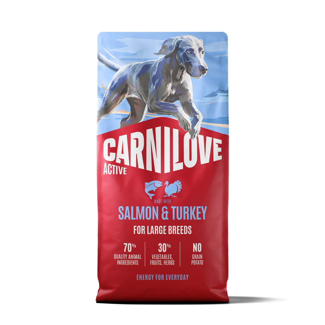 CARNILOVE ACTIVE Dog Dry Made with Salmon & Turkey for Adult Large Breeds 12kg