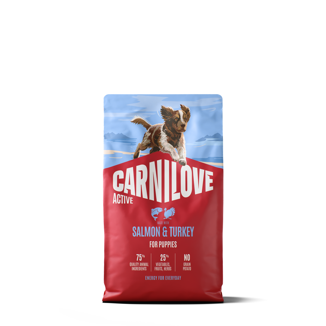 CARNILOVE ACTIVE Dog Dry Made with Salmon & Turkey for Puppies 4kg