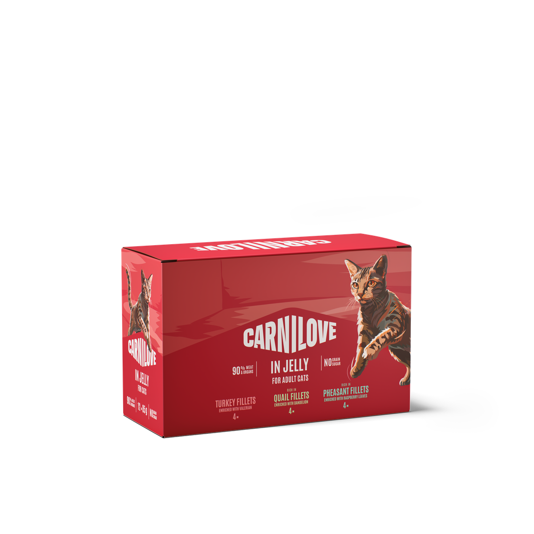 CARNILOVE Cat POUCH JELLY MULTIPACK (12x85 g)