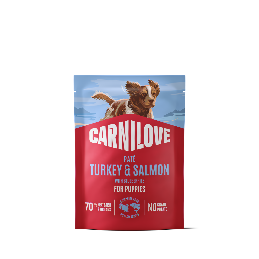 CARNILOVE Dog POUCH Paté Turkey & Salmon with Blueberries for Puppies 300g