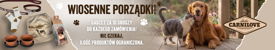 Wiosenne porządki! Gadżet za 10 groszy do każdego zam&oacute;wienia.