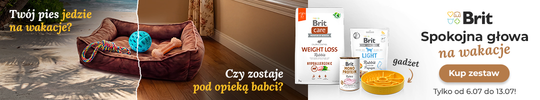 Spokojna głowa na wakacje. Kup zestaw z gadżetem, w cenie -25%