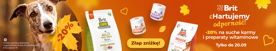 Baner informacyjny o promocji. Niespodzianka za 10 groszy do każdego zamówienia. Dodaj na stronie koszyka.