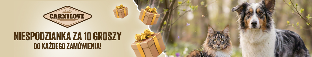 Niespodzianka za 10 groszy do każdego zam&oacute;wienia. Dodaj na stronie koszyka.