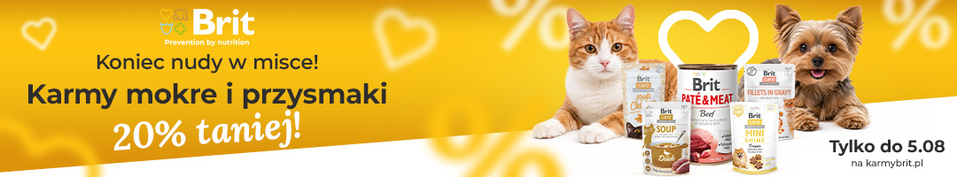 Baner informacyjny o promocji. Koniec nudy w misce! Karmy mokre i przysmaki -20%