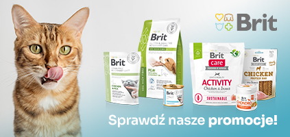 Sprawdź nasze promocje.