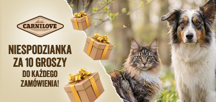 Niespodzianka za 10 groszy do każdego zam&oacute;wienia. Dodaj w koszyku.