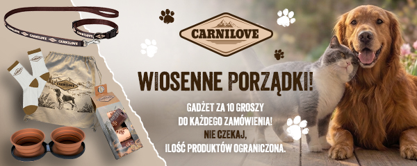 Wiosenne porządki! Gadżet za 10 groszy do każdego zam&oacute;wienia.
