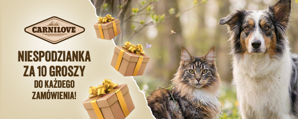 Niespodzianka za 10 groszy do każdego zam&oacute;wienia. Dodaj na stronie koszyka.