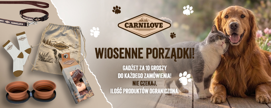 Wiosenne porządki! Gadżet za 10 groszy do każdego zam&oacute;wienia.