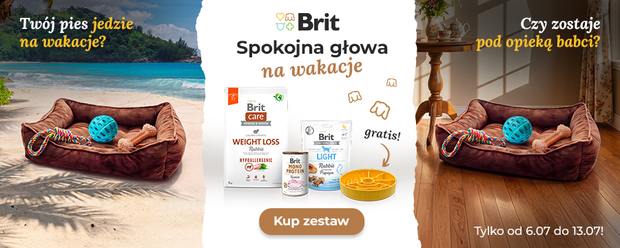 Spokojna głowa na wakacje. Kup zestaw z gadżetem, w cenie -25%