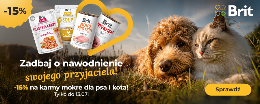 ZAdbaj o nawodnienie swojego przyjaciela. -15% na karmy mokre dla psa i kota!