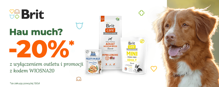 Hau much? -20% na cały asortyment z kodem WIOSNA20 (z wyłączeniem promocji i outlet&oacute;w)