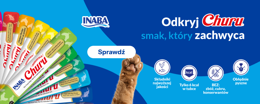 Odkryj CHURU smak, kt&oacute;ry zachwyca