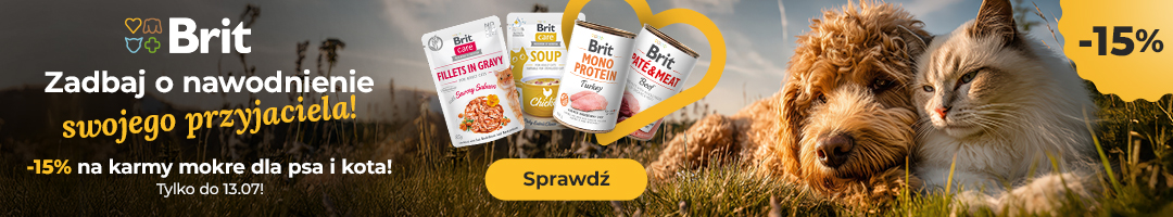 ZAdbaj o nawodnienie swojego przyjaciela. -15% na karmy mokre dla psa i kota!