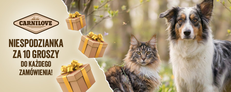Niespodzianka za 10 groszy do każdego zam&oacute;wienia. Dodaj na stronie koszyka.