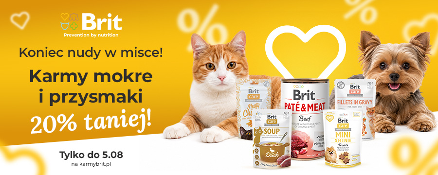 Baner informacyjny o promocji. Koniec nudy w misce! Karmy mokre i przysmaki -20%