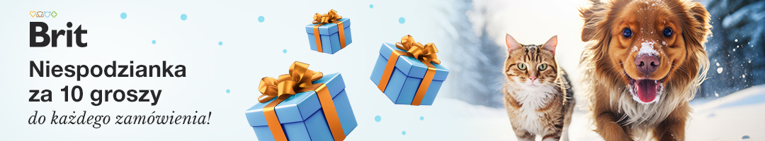 Baner informacyjny o promocji. Niespodzianka za 10 groszy do każdego zamówienia. Dodaj na stronie koszyka.