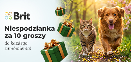 Niespodzianka za 10 groszy do każdego zam&oacute;wienia. Wybierz produkt w koszyku.