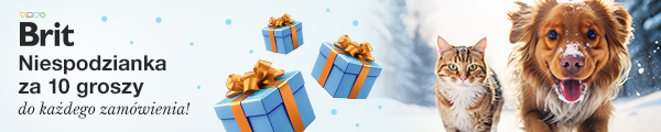 Niespodzianka za 10 groszy do każdego zam&oacute;wienia. Dodaj na stronie koszyka.