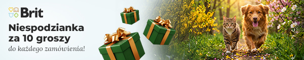 Niespodzianka za 10 groszy do każdego zam&oacute;wienia. Dodaj na stronie koszyka.