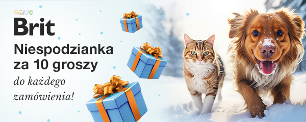 Niespodzianka za 10 groszy do każdego zam&oacute;wienia. Dodaj na stronie koszyka.