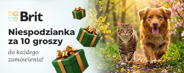 Niespodzianka za 10 groszy do każdego zam&oacute;wienia. Dodaj na stronie koszyka.