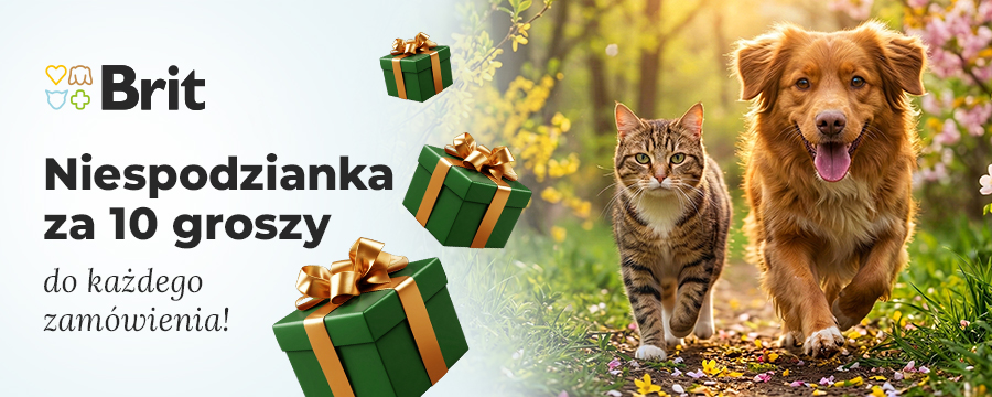 Niespodzianka za 10 groszy do każdego zam&oacute;wienia. Dodaj na stronie koszyka.