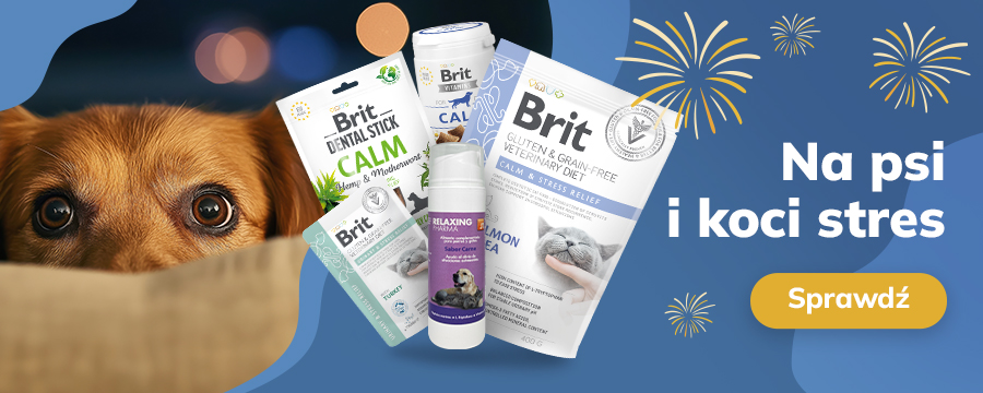 Na psi i koci stres. Sprawdź