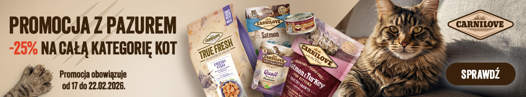 Baner informacyjny o promocji. Kliknij aby przekierować Promocja z pazurem, -25% na całą kategorię kot