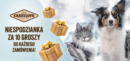 Niespodzianka za 10 groszy do każdego zam&oacute;wienia. Dodaj w koszyku.