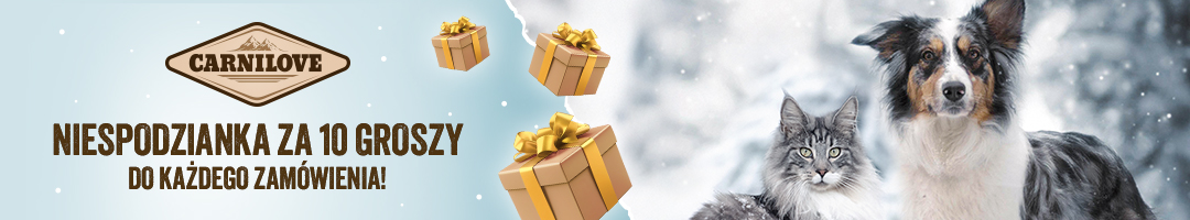 Niespodzianka za 10 groszy do każdego zam&oacute;wienia. Dodaj na stronie koszyka.