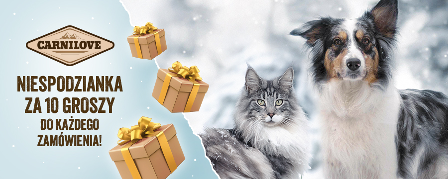 Niespodzianka za 10 groszy do każdego zam&oacute;wienia. Dodaj na stronie koszyka.