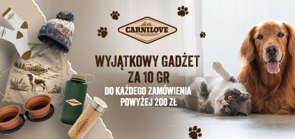 Baner informacyjny o promocji. Gadżet za 10 groszy przy zakupach za 200zł